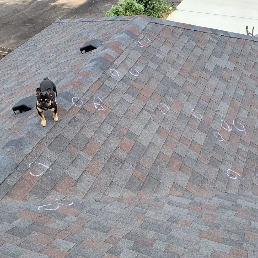 Gold Coast Roofing inspections photo